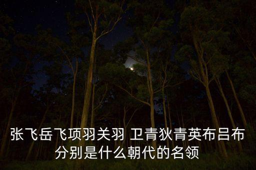 张飞岳飞项羽关羽 卫青狄青英布吕布分别是什么朝代的名领