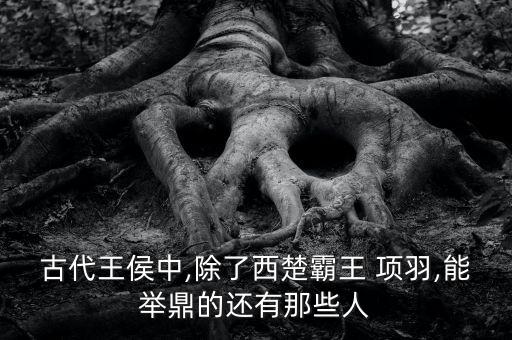 历史人物项羽的故事200字,像项羽有哪些历史人物