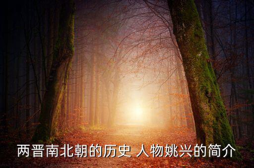 两晋南北朝的历史 人物姚兴的简介