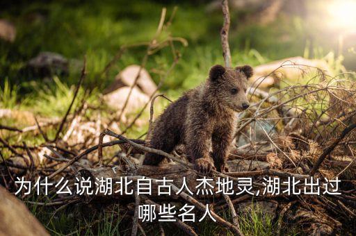 为什么说湖北自古人杰地灵,湖北出过哪些名人