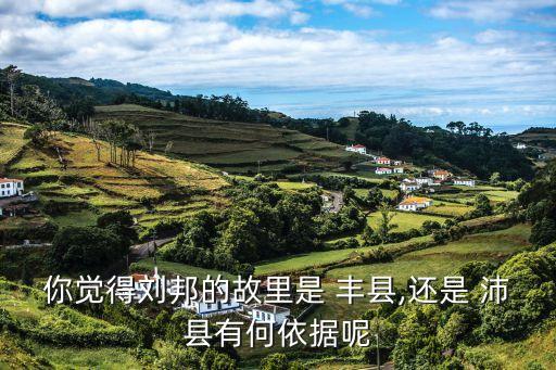 你觉得刘邦的故里是 丰县,还是 沛县有何依据呢