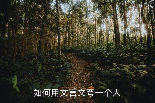 ,用什么话夸历史人物好呢