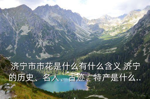  济宁市市花是什么有什么含义 济宁的历史、名人、古迹、特产是什么...