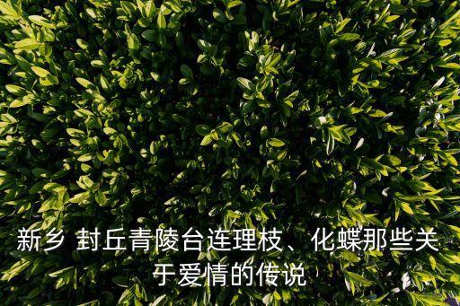 封丘有过哪些历史人物简介,陈姓的历史人物有哪些,简介