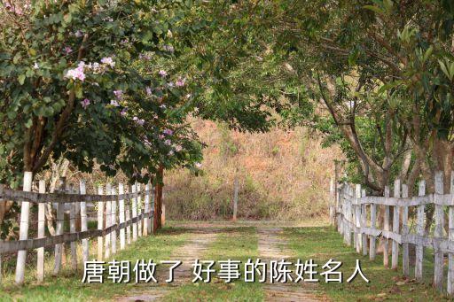 唐朝做了 好事的陈姓名人