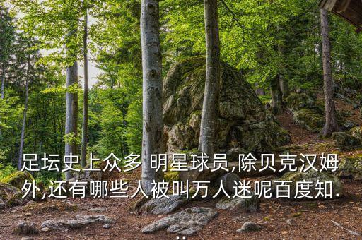 酷似历史人物的明星有哪些