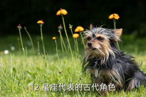 12星座都是什么历史人物,任何历史人物的出现都是什么