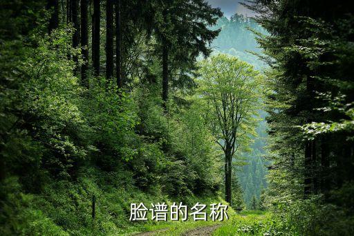  脸谱的名称