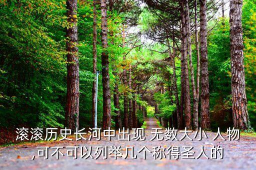 滚滚历史长河中出现 无数大小 人物,可不可以列举几个称得圣人的