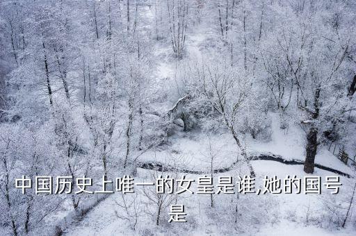 中国历史上唯一的女皇是谁,她的国号是