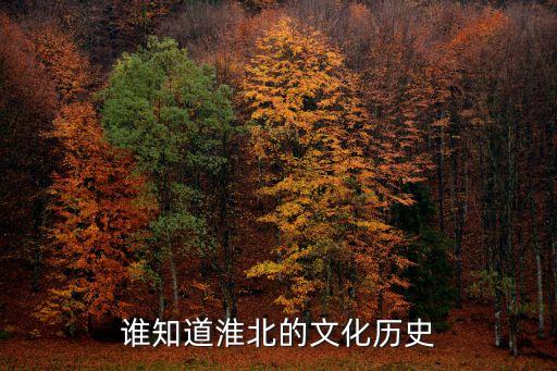 哪些历史人物来过宿州,留取丹心照汗青的历史人物有哪些