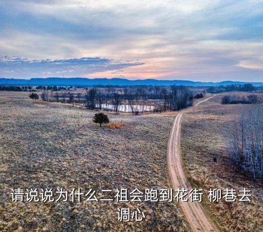 请说说为什么二祖会跑到花街 柳巷去调心