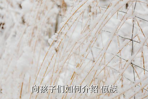 向孩子们如何介绍 佤族